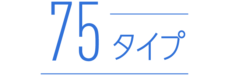 75タイプ
